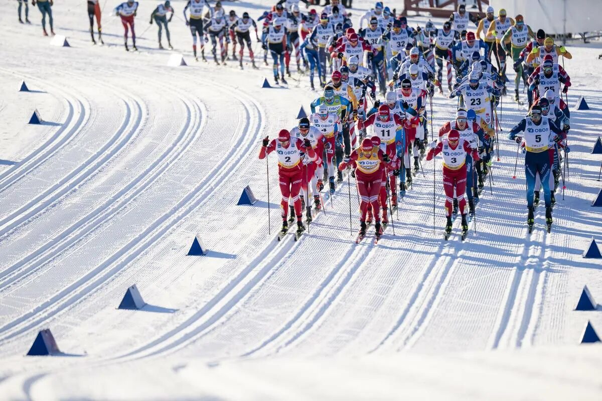 Лыжные гонки. Лыжники Норвегии. Лыжные гонки норвежцы. Лыжные гонки Норвегия.