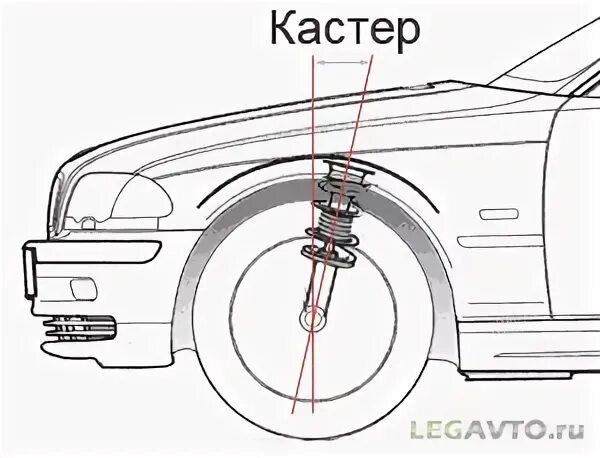 Кастор