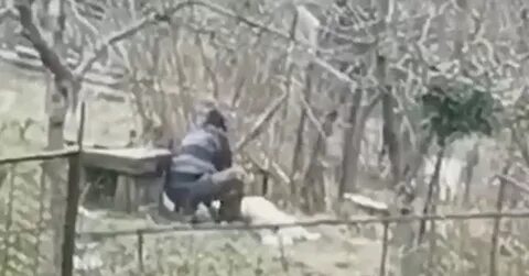 Жестокая пикабу