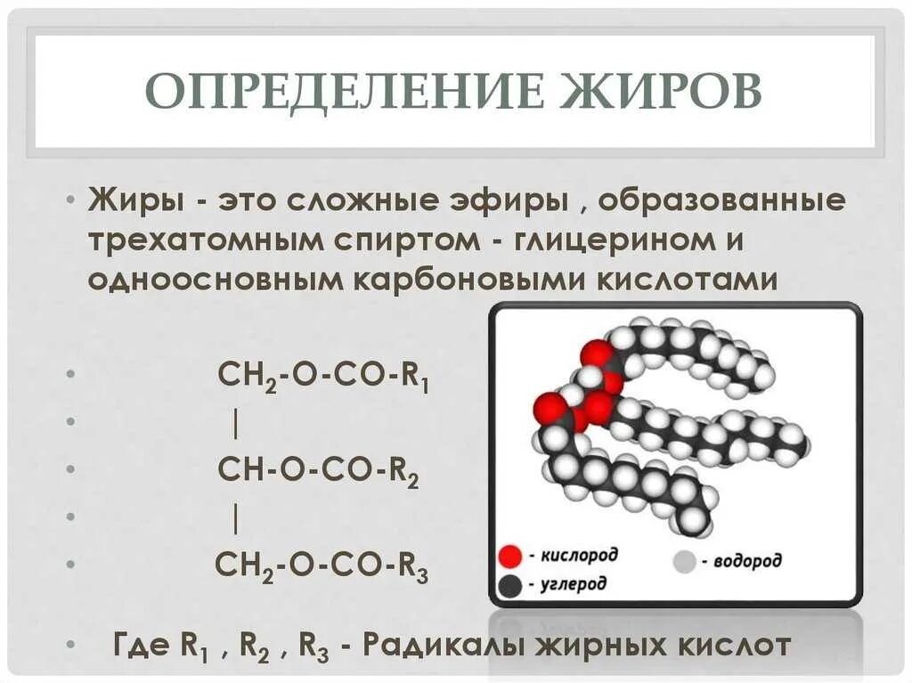 Радикалы жиров