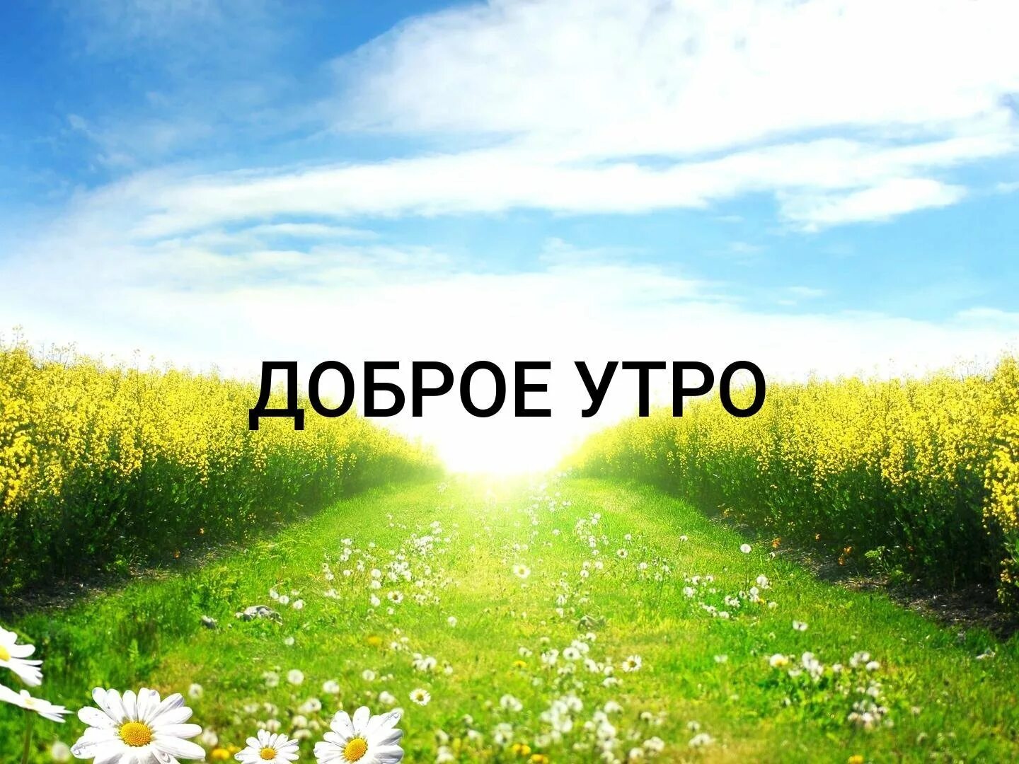 Доброе утро братан. Доброе летнее утро. доброе утро страна. доброе утро картинки природа. с добрым утром страна.