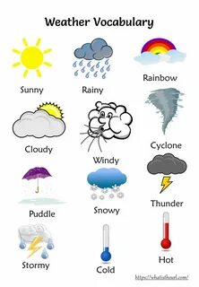 Article weather