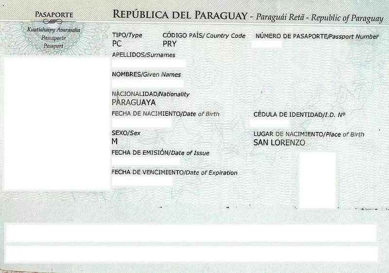 Виза аргентина. Парагвай виза. Парагвай внж. Парагвай виза. Парагвай виза.