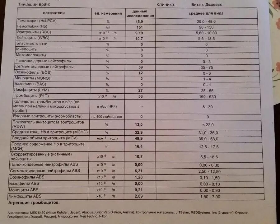 Анализ крови у взрослых можно. Биохимический анализ крови сахар норма. Анализ крови на сахар расшифровка у женщин норма. Сахар анализ крови расшифровка норма. Расшифровка анализа крови Глюкоза.