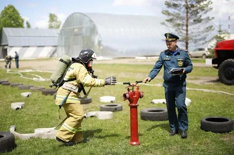 Структура газодымозащитной службы