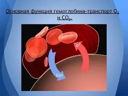 Транспортная гемоглобин