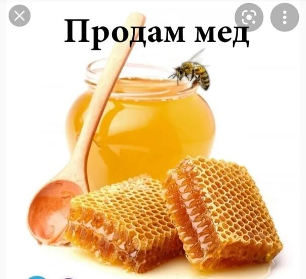 Honey vk. Первый мед. Мёд ВК. Продам мед картинки. Качка меда.