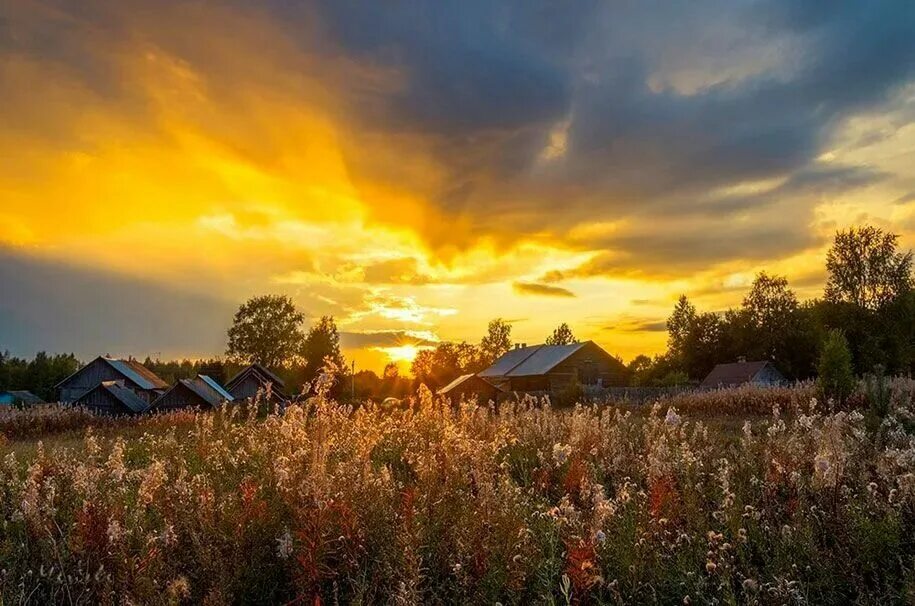 Красочное село. Утренний пейзаж деревня Герасимов. Природа деревня. Сельский пейзаж. Красивые Деревенские пейзажи.