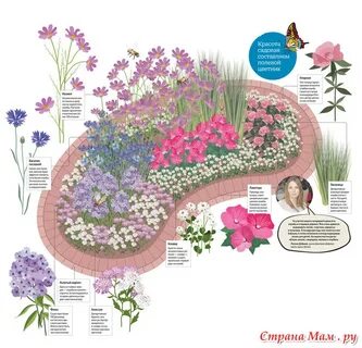 Клумба непрерывного цветения схема с названиями