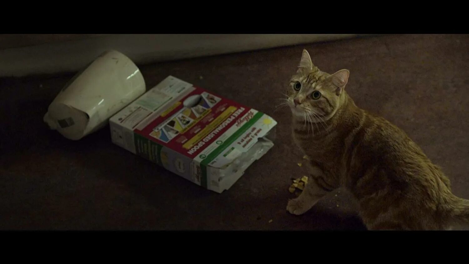 Кот по кличке тринадцатый. A street cat named bob. уличный кот по кличке боб (2016). уличный кот по кличке боб трейлер. уличный кот по имени боб книга.