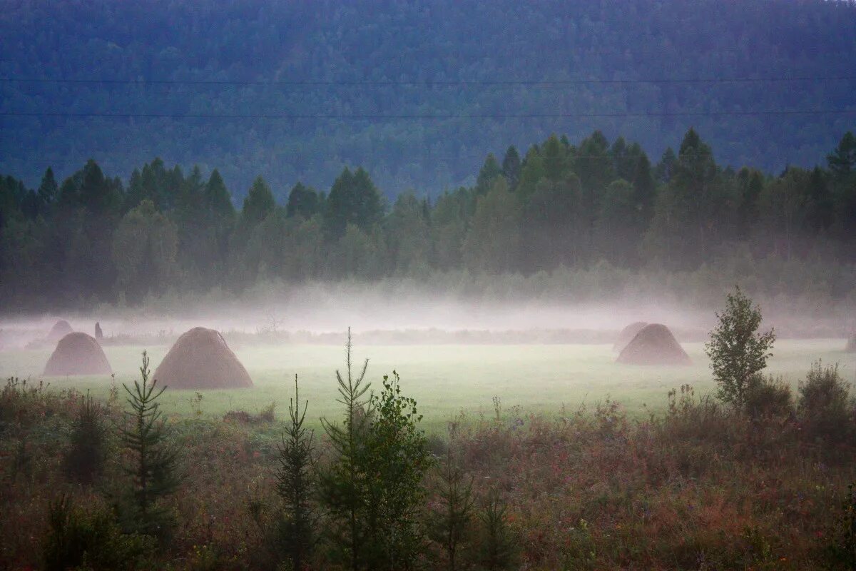 как определить сколько н в прилагательных. из чего туман. условия недостаточной видимости. туман в кирове. туманный правило.