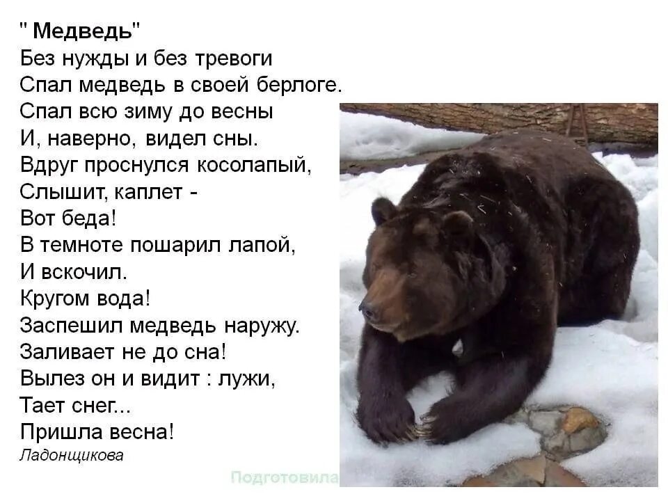 Стих про мишку. Слова сказки мужик и медведь. Я был медведем текст. Я тучка. Бурый медведь вес.