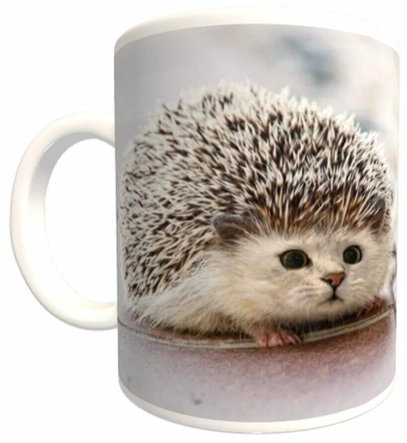 Чашка с ежиком. Кружка wrendale designs. Советская кружка с ежиком. Кружка "ёжик, ёж, еж" 320 мл. Кружки с ежиками.