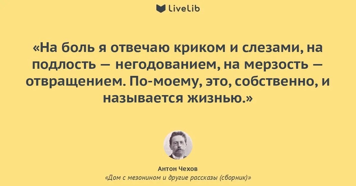 Чехов на боль я отвечаю. Чехов о подлости. Мерзость и подлость на Руси. Чехов на болт я отвечаю. Описание собственной жизни называется