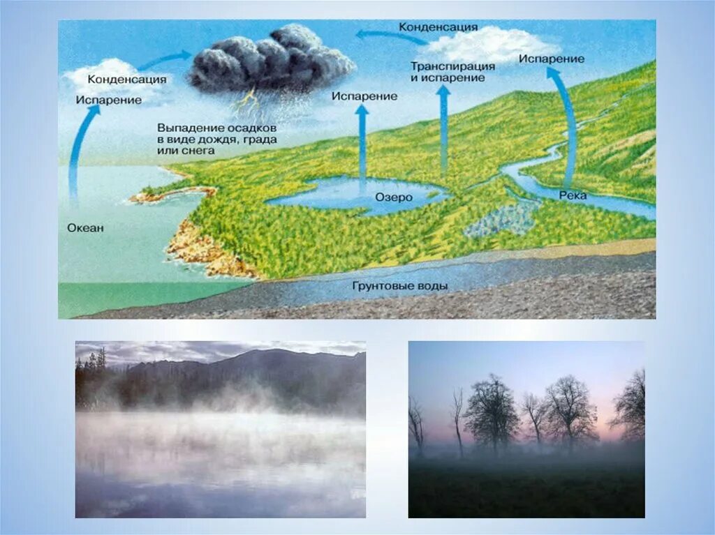 Процесс испарения воды в природе. Конденсация воды в природе. Процесс водоиспарени в природе. Парообразование и конденсация в природе. Источник воды в атмосфере