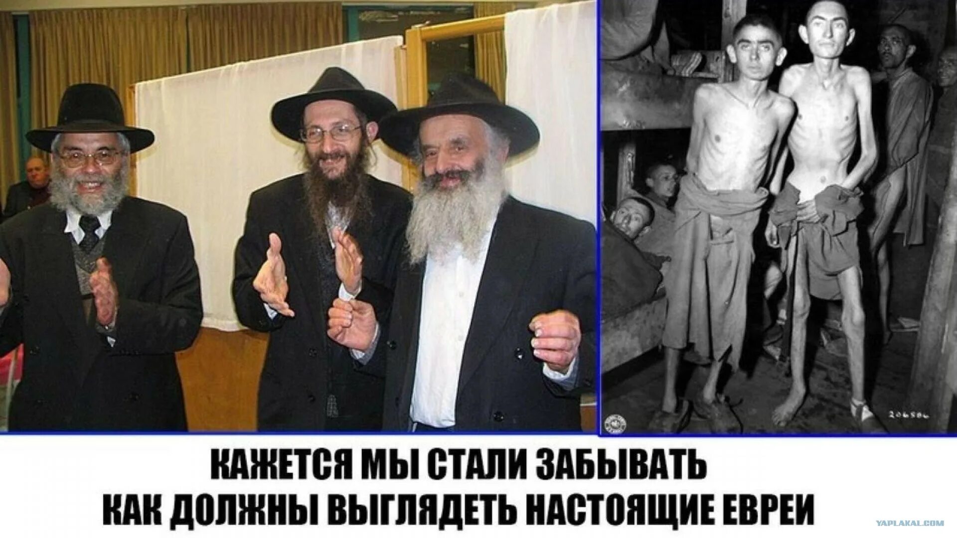Почему во всем мире не любят евреев