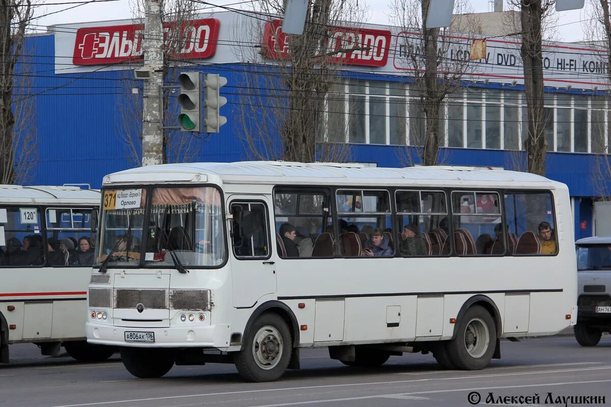 Маршрутка 371 нижний новгород. ПАЗ 4234 С 842 АК 136. ПАЗ 4234 Воронеж 136 Воронеж. ПАЗ 4234-05. ПАЗ 4234-05 Воронеж.