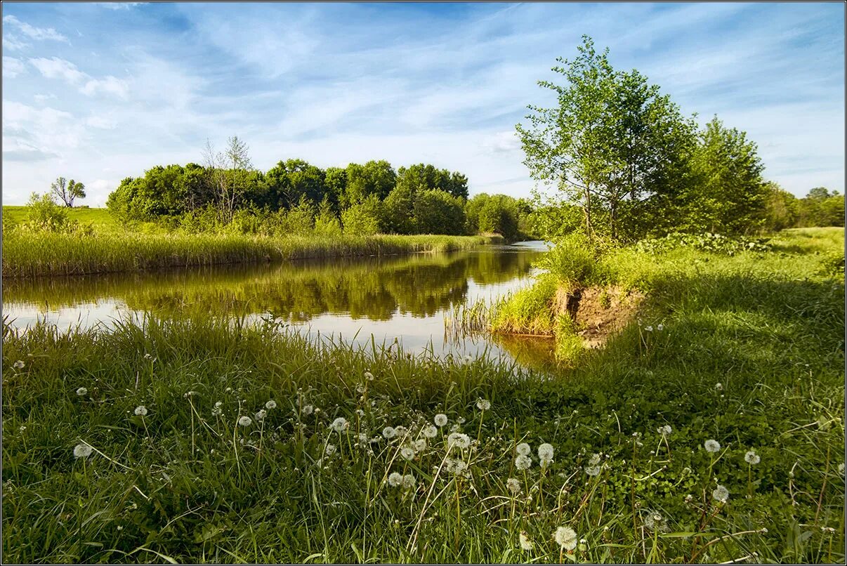 Мичуринск раненбург