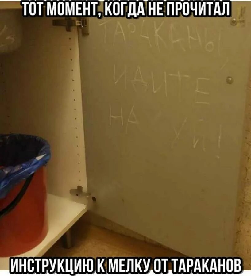 Не читано