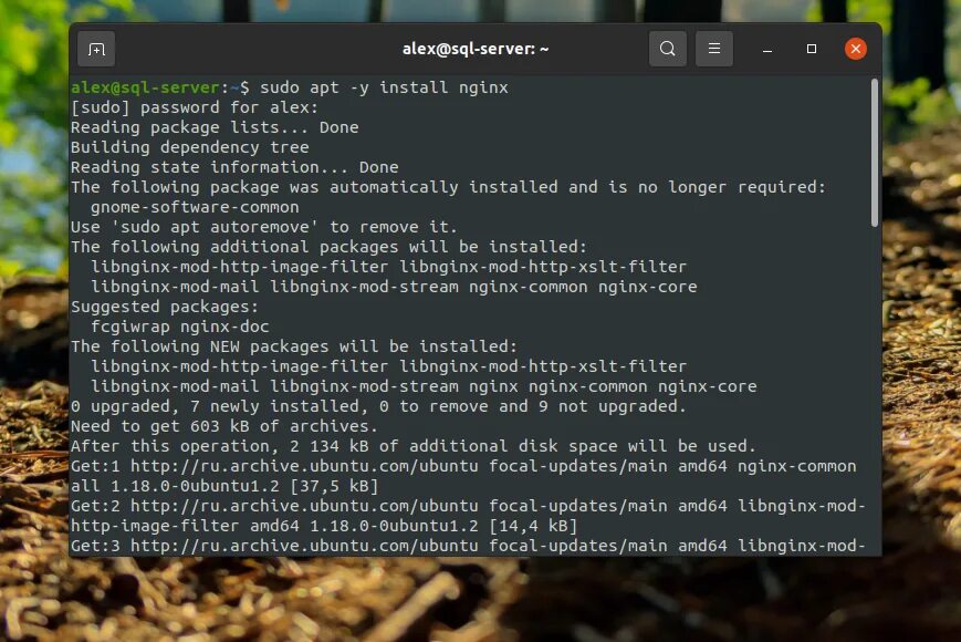 Apt install nginx. Установка nginx. nginx ubuntu настройка. sudo apt update. nginx.
