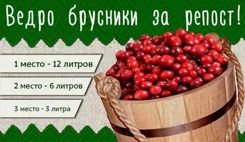 Литр брусники это сколько