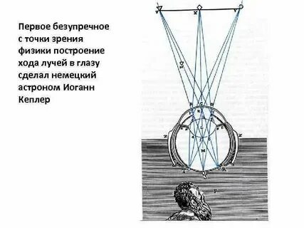 Что такое древесина с точки зрения физики