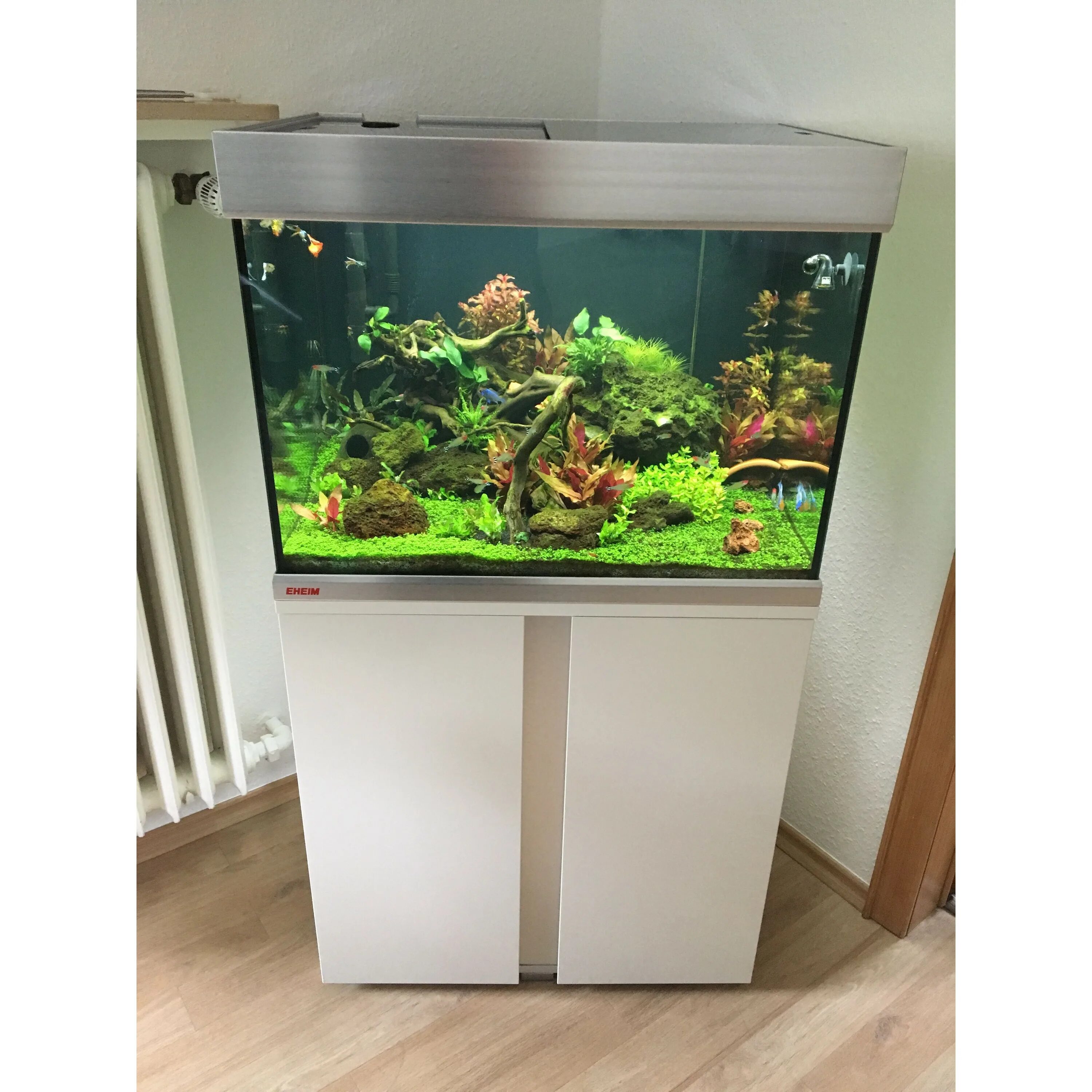 Аквариум эхейм. Аквариум эхейм. Аквариум eheim 330. Аквариум eheim. Аквариум eheim vivaline 126.