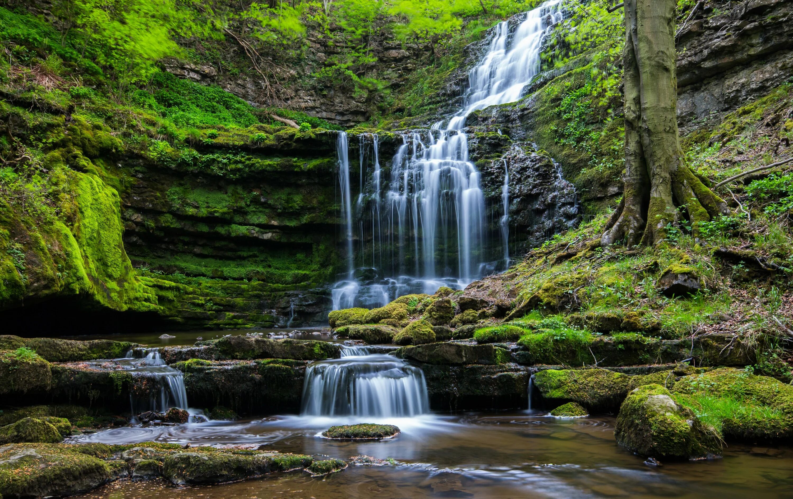 landscape - Google Search Nature images, Beautiful nature, Beautiful images natu