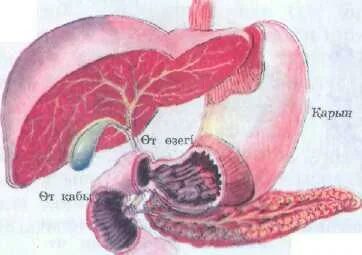 Анус письки аққұбалар секс фото