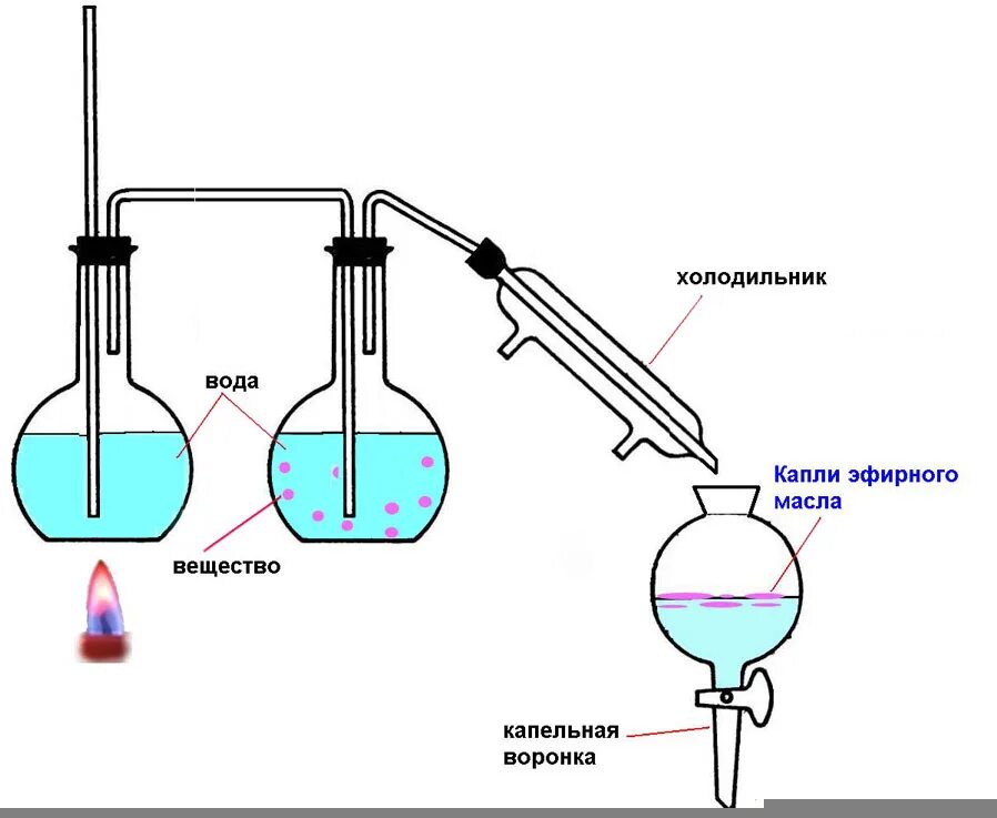 Аппарат для получения воды. Метод экстрагирования эфирных масел. Прибор для экстракции эфирного масла. Схема дистилляции эфирных масел. Паровая дистилляция эфирного масла.
