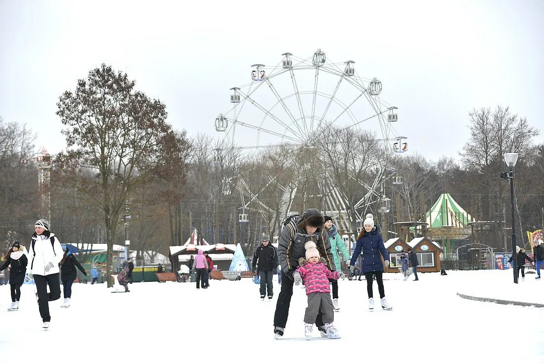 Каток Центральный парк Тула. Каток в Белоусовском парке Тула. Комсомольский парк Тула каток. Каток в Туле в парке Белоусова.