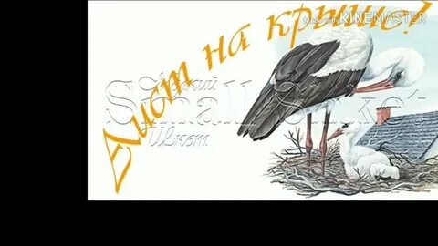 Аист на крыше картинка к песне