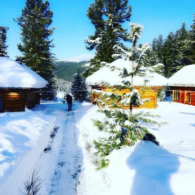База отдыха листвянка иркутск. Деревня отрадная иркутская область. Турбазы иркутск зимой. Турбазы иркутск зимой. Гостиница политехник.