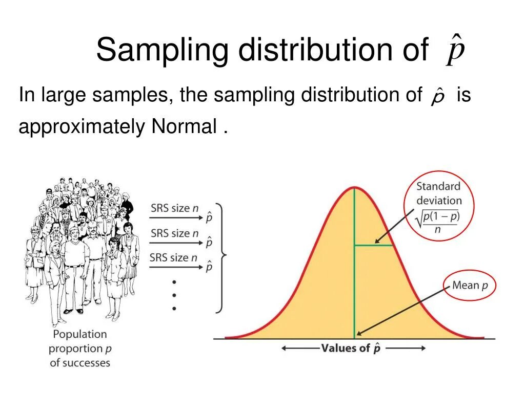 Sampling meaning. Sampling distribution. sampling distribution of the sample mean. normal population distribution. population proportion distribution.