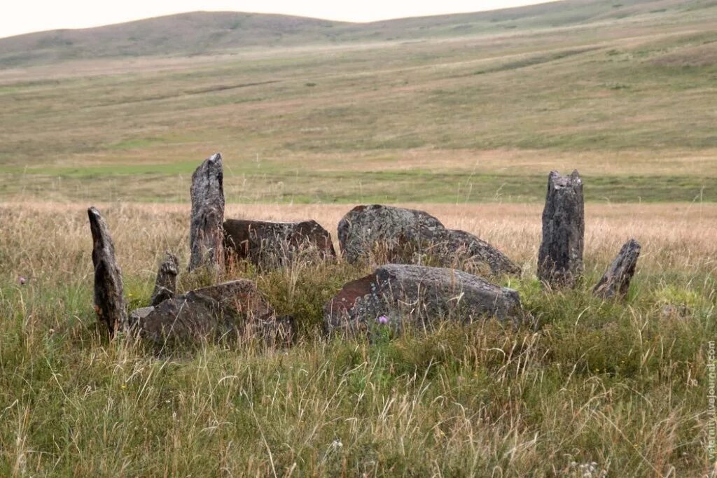 Саур могила 2014. Какое животное обитает рядом с саур могилой. Саур-могила донецкая область. Донбасс 2014 саур могила. Какое животное обитает рядом с саур могилой.