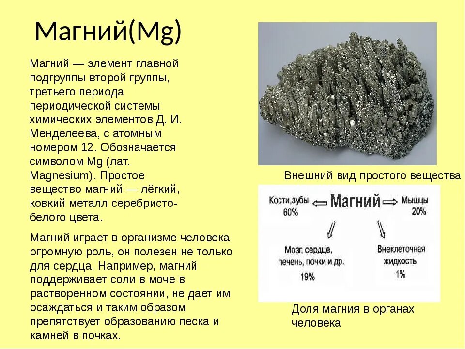 Рманий химический элемент. Магний химическое вещество. Магний элемент. MG магний. Газообразный магний