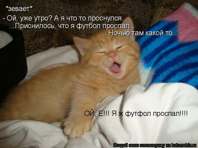 Зеваю каждую минуту. Люди зевают видео. Зеваю каждую минуту. Зеваю каждую минуту. Парень зевает.