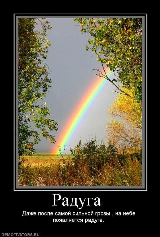 Цитаты про дождь. Цитаты дождь радуга. Цитаты дождь радуга. Красивые фразы про радугу. После слез приходит счастье.