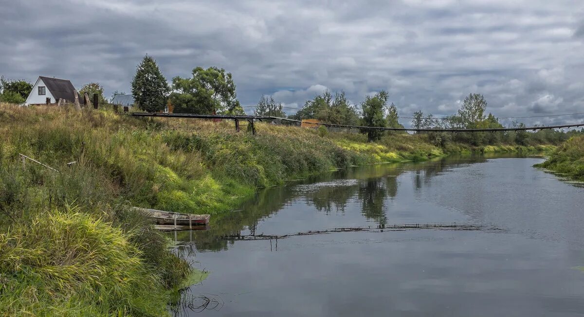 высоково тверская область конаковский район. заповедная ул 16 корп 3. заповедный уголок. кавказский заповедник краснодарского края. деревня усть-пристань.