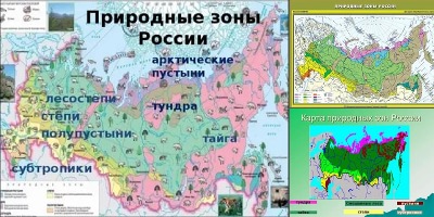 название природных зон на карте