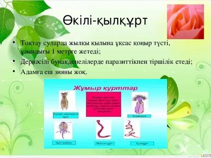 Ана құлдықтағы порно