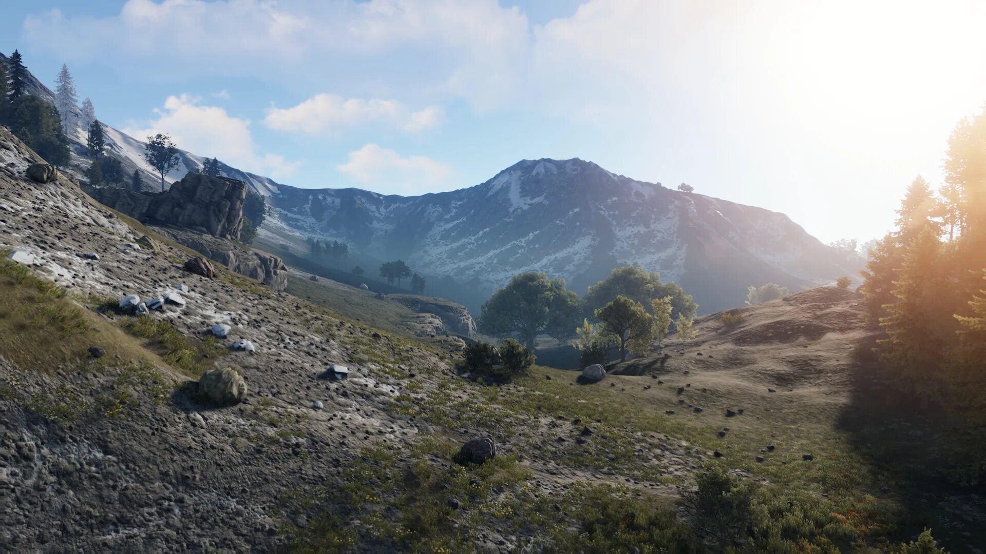 New rust