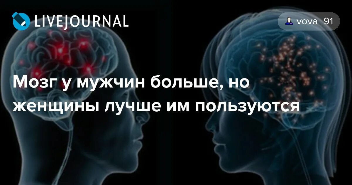 Мозг мужчин различия. Мозг мужчины больше женщины. Мозг мужчины больше мозга женщины. У кого мозг больше у мужчин или у женщин. Мужской мозг больше женского.