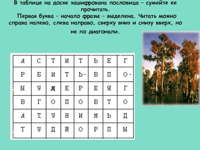 Как можно прочитать 1 5. Таблица с зашифрованными пословицами. Шифровка пословиц. Зашифрованные поговорки. Найди названия деревьев в таблице.