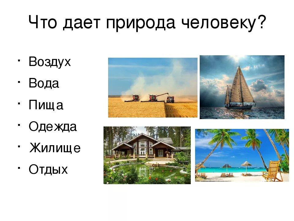 Дать определение человек природа. Что дает природа человеку. что дает природа человеку картинки. природа дает человеку воздух. что дает нам природа картинки.