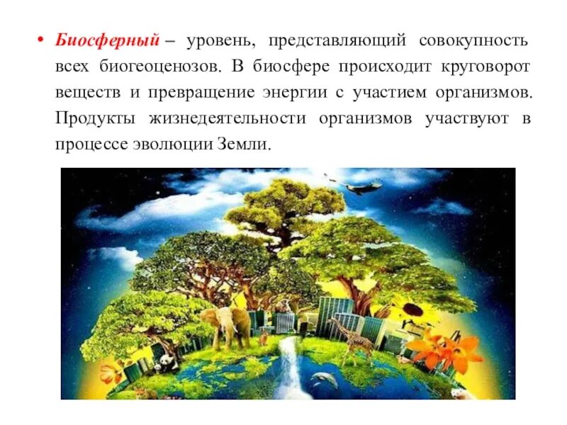 Природная среда представляет собой совокупность