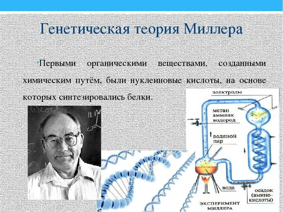 В эксперименте исследователь определял изменение химического состава. Абиогенный Синтез теория Опарина. Теория Опарина Холдейна. Теория Миллера биология. Происхождение жизни теория Миллера.