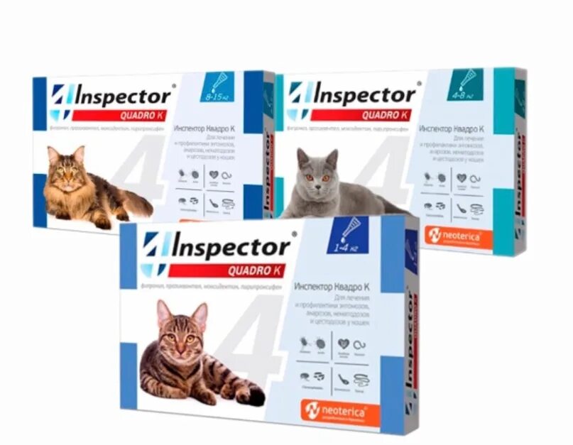 Как давать инспектор кошке. Капли для кошек &quot;inspector quadro&quot; 1-4 кг от блох. инспектор квадро капли от паразитов для кошек 4-8кг. инспектор квадро к для кошек. таблетки от клещей для кошек инспектор.