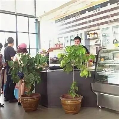 Coffee mind шоссейная ул 1 2с4