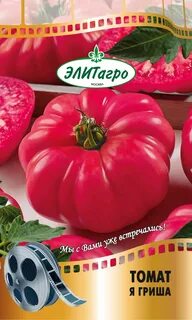 Томат товарищ